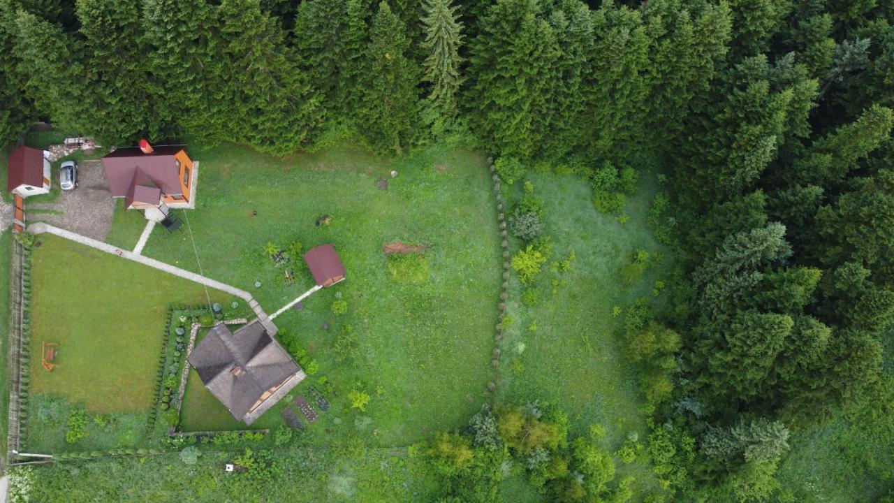 Sadyba Drymba Skhidnytsia Esterno foto