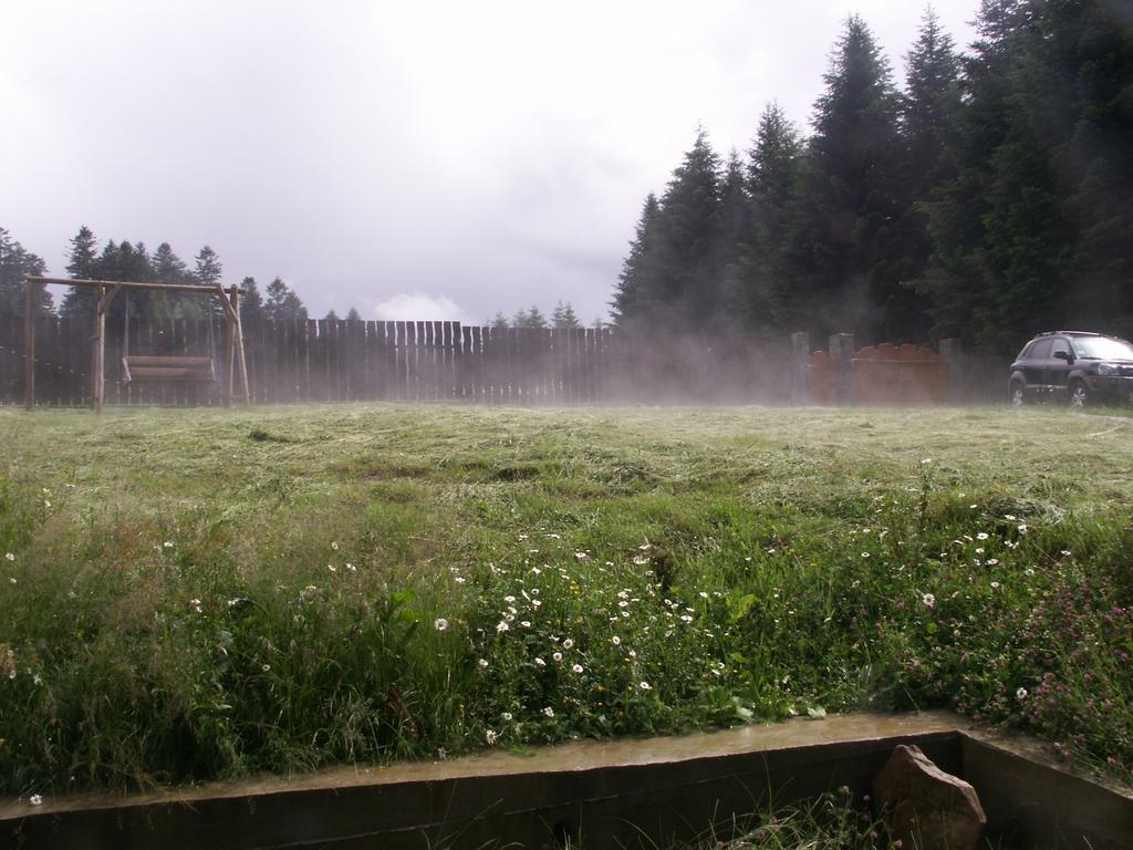 Sadyba Drymba Skhidnytsia Esterno foto