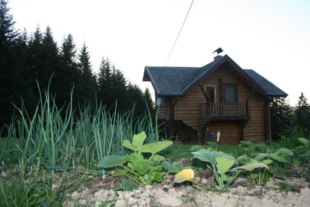Sadyba Drymba Skhidnytsia Esterno foto