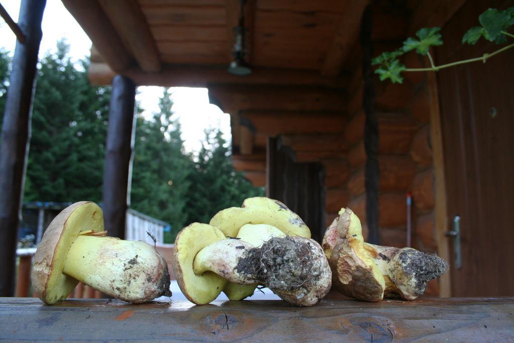 Sadyba Drymba Skhidnytsia Esterno foto